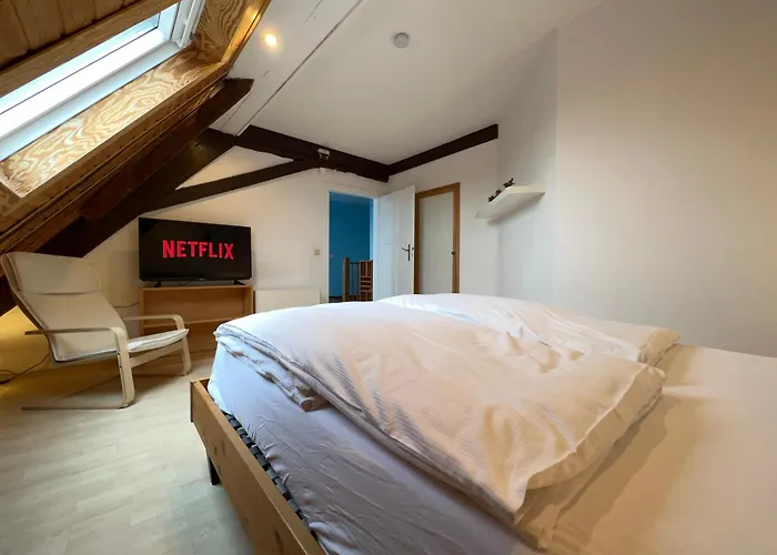 Apartmán Grosse Maisonette-wohnung By Rabe - Gartenabteil, Smart-tv, Netflix Karlsruhe